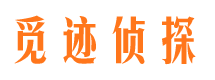 新平市侦探公司